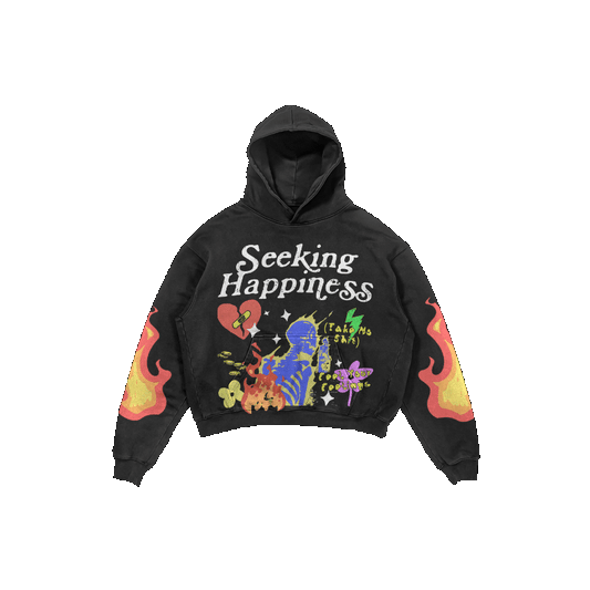 SEEKING HAPPINESS HOODIE